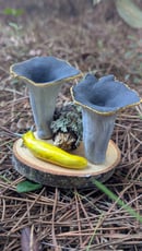 Image 1 of Black Trumpet sculpture