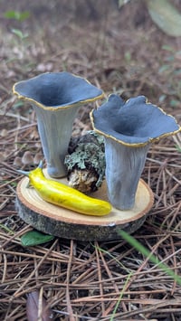 Image 1 of Black Trumpet sculpture 