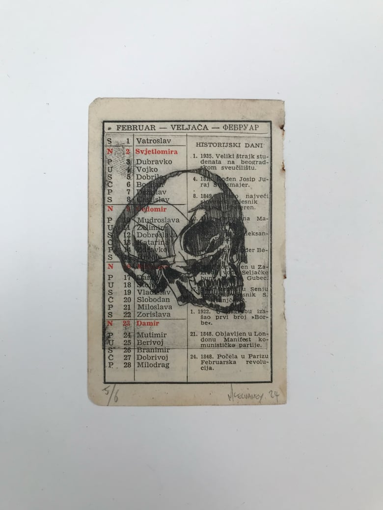 Image of Skull drypoint etching (Feb) 5/6 in series
