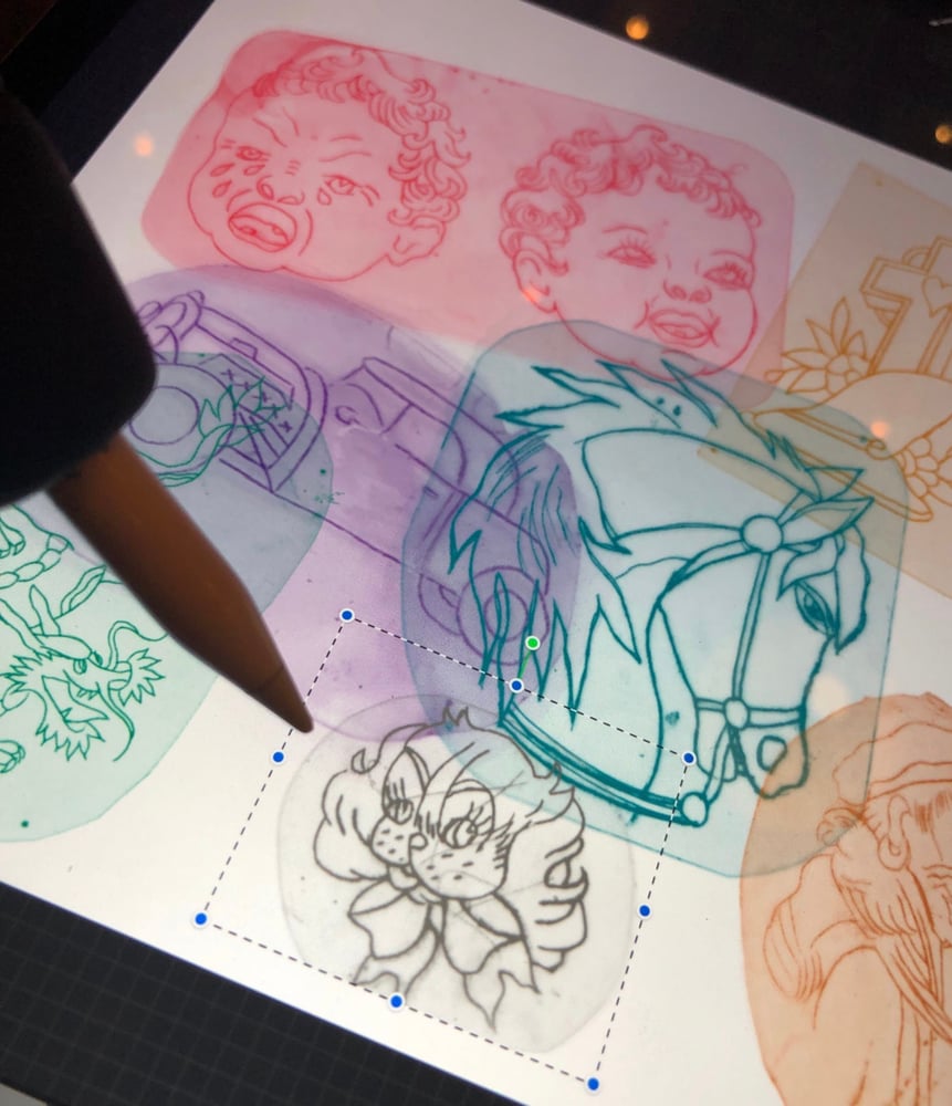 Image of Acetate Bundle 540 Stamps! For ipad procreate only!