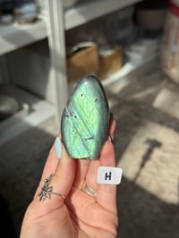 Image 8 of CHOOSE YOUR OWN SMALL LABRADORITE FREEFORM -MADAGASCAR-