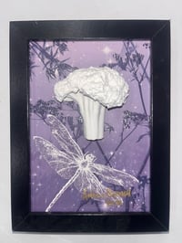 Dragonfly Dream Broccoli