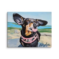 Image 2 of Dachshund in the wind