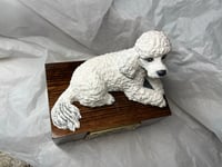 Image 7 of Custom Engraved White Poodle Urn Wings Angel Pet Portrait Cremation Ashes