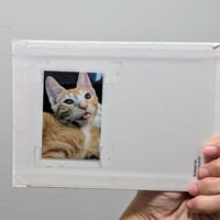 Image 8 of Cat paintings!