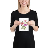 Image 8 of Zinnias-Poster Print