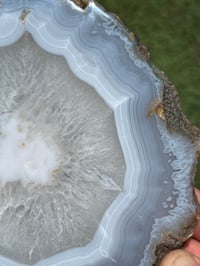 Image 2 of Blue Lace Agate Slice #2488