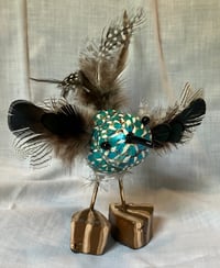 Image 1 of Blue Bird Gourds