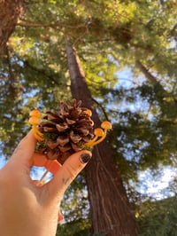 Image 4 of Pinecones led mushrooms