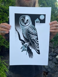 Image 1 of Barn owl 