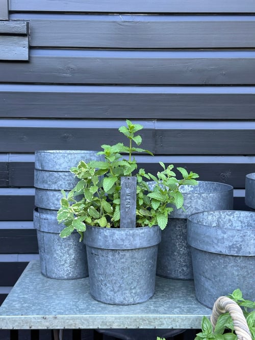 Image of Tinware Pot