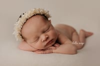 Image 1 of Ivory Hydrangea Halo
