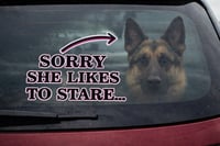 Sorry, She/He Likes to Stare 