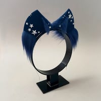 Image 3 of Navy Stars Kitten