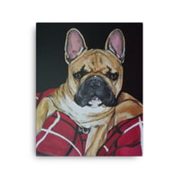 Image 3 of Frenchie King Louie