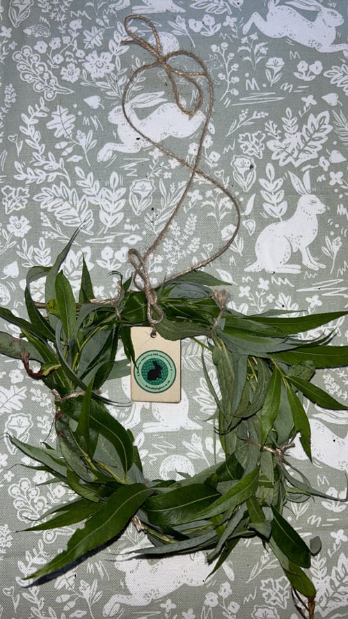 Image of ⭐️SPECIAL OFFER⭐️ Box of fresh willow and small willow wreath copy