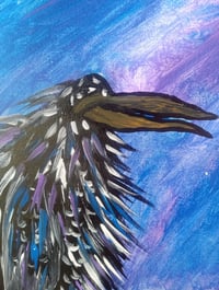 Image 5 of Crow
