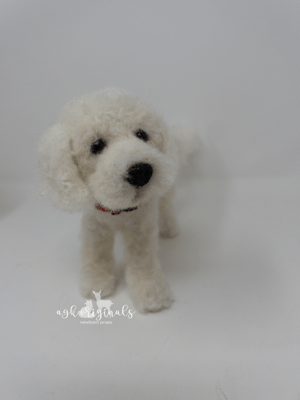 Image of Custom dog miniature 