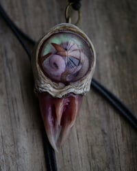 Image 9 of Nebula Hatchling Snaggletooth Pendant - Handmade,  2" OOAK