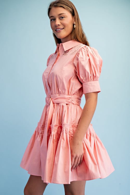 Image of Blush Garden Mini Dress 