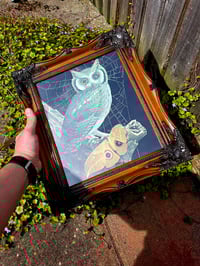 Image 2 of Vintage “Owl with Moth” - with preserved spider web