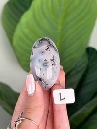 Image 12 of DENDRITIC OPAL SHIVAS