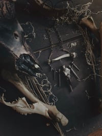 Image 3 of ¥BoneWitch¥