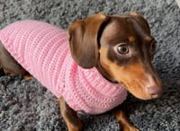 Image 1 of Single Colour Snazzy Jumper 