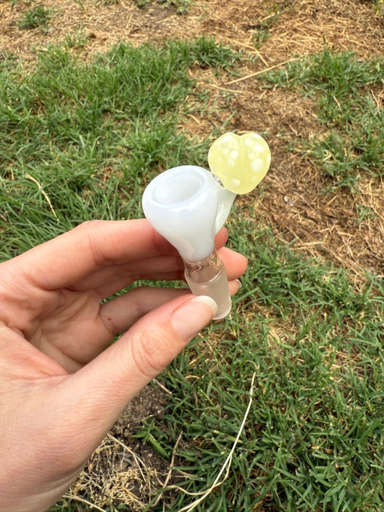 Image of Heart Mushroom Slides