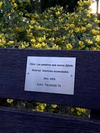 Image 2 of LAS PALABRAS QUE NUNCA DIJISTE