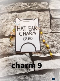 Image 18 of Ed's hats and charms