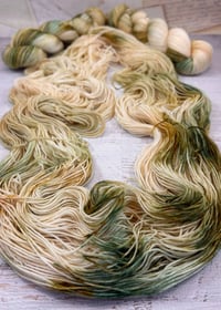 Image 5 of Tuck Everlasting