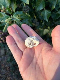 Image 5 of Fallow antler Skull pendant 