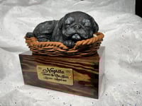Image 10 of Custom Engraved Pug Urn Pet Portrait To Your Photos