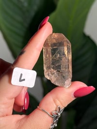 Image 13 of CHOOSE YOUR OWN MINI RUTILE SMOKEY QUARTZ POINTS (NATURAL UNPOLISHED POINTS) -BRAZIL- LOT 2