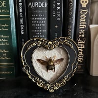 Xylocopa Aestuans - Gold Carpenter Bee - Heart Frame - Antique Bronze