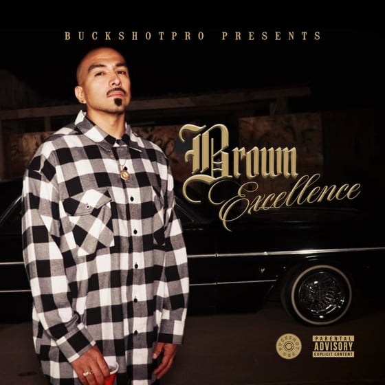 Image of Brown Excellence CD