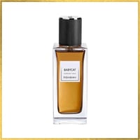 YSL Babycat 