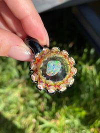 Image 3 of Opal Shells