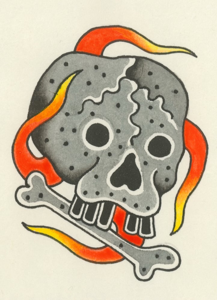 Image of Skull Study 1