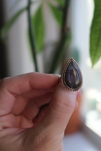 Image 4 of Purple Lab Magic