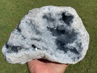 Image 19 of Celestite Geode #1801