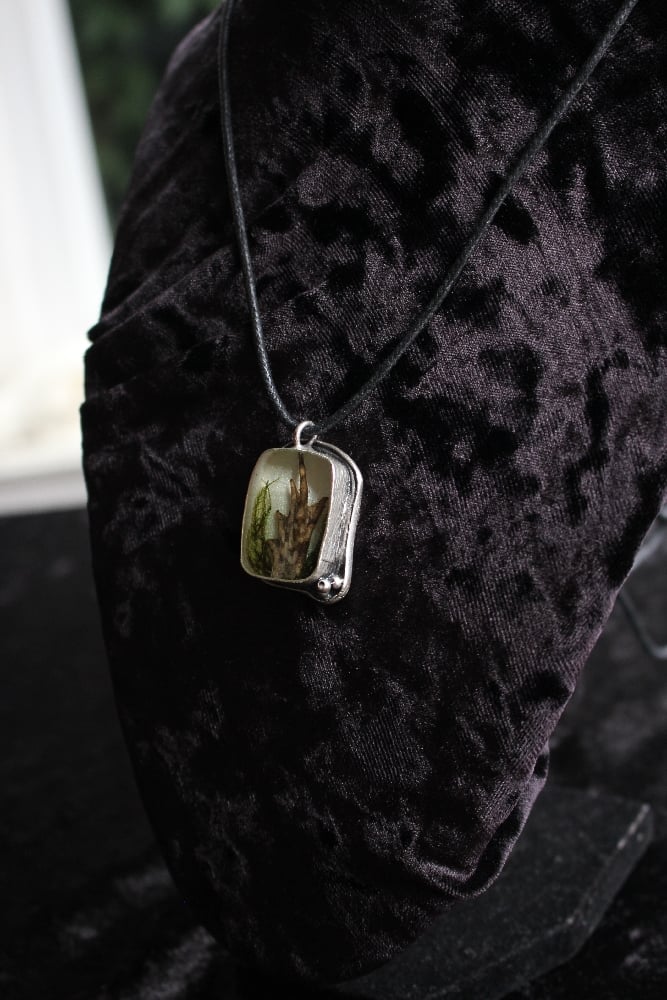 dead good frog paw necklace reduced due to scratch Image 3