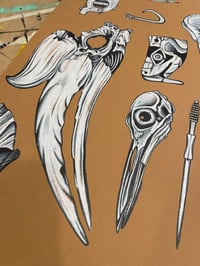 Image 4 of museum drawer large flash sheet