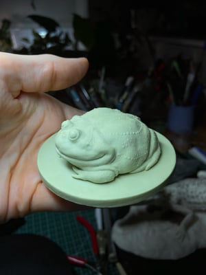 Budgett’s frog unpainted