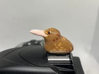 Image 1 of Kiwi Hotshoe Cover