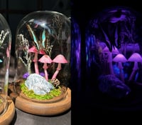 Image 1 of Mini fairy world dome lede