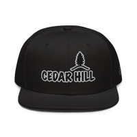 Image 1 of Cedar Hill (Whte/Blck) Snapback Hat