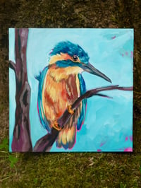 Image 1 of Bird Studies