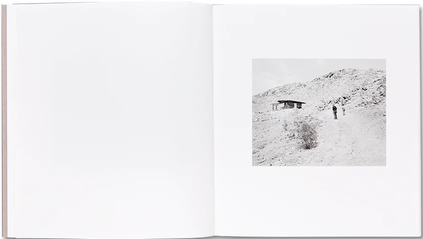 Susan Lipper - Domesticated Land (Signed)